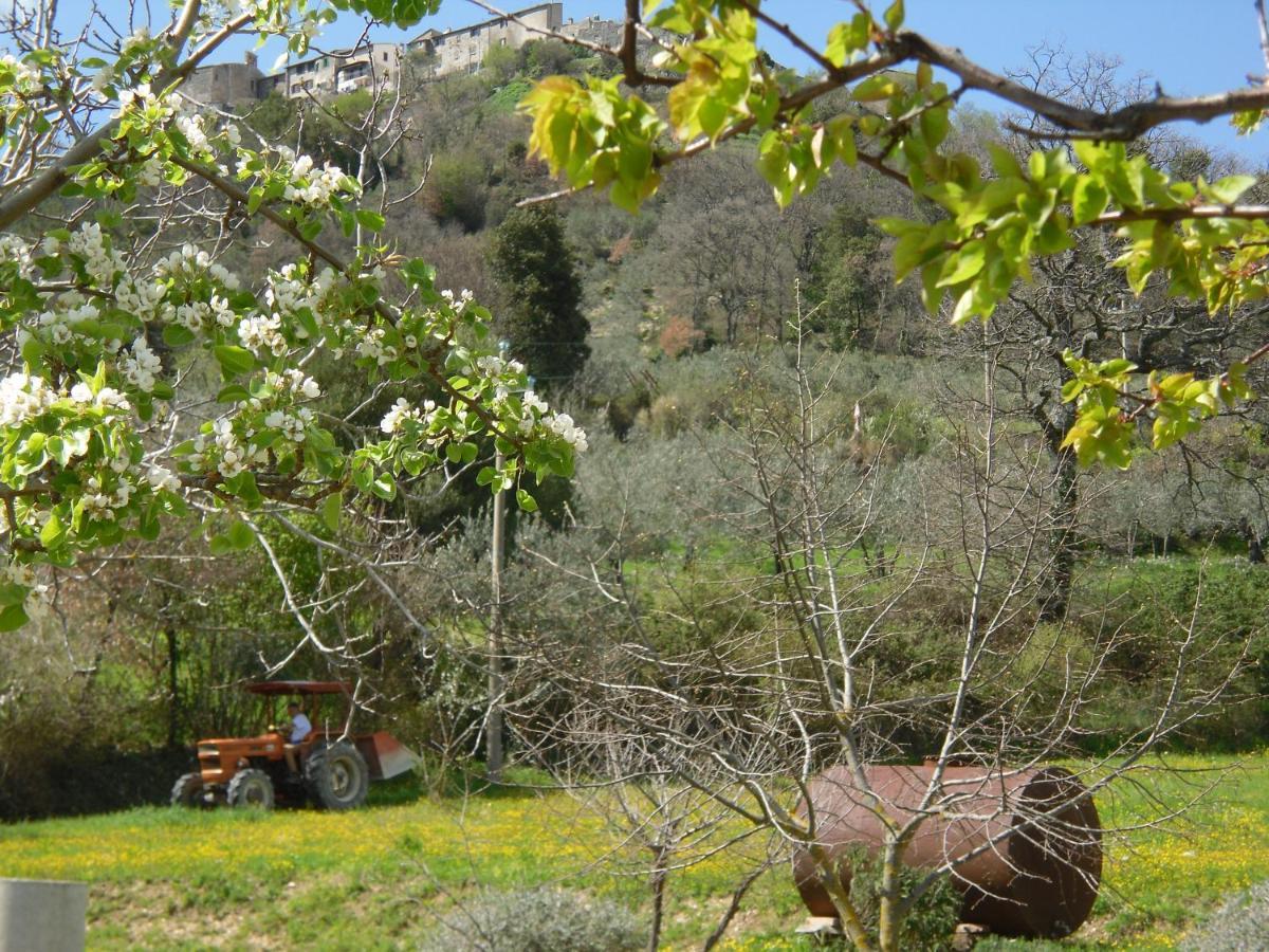 Itieli B&B I Montanari מראה חיצוני תמונה